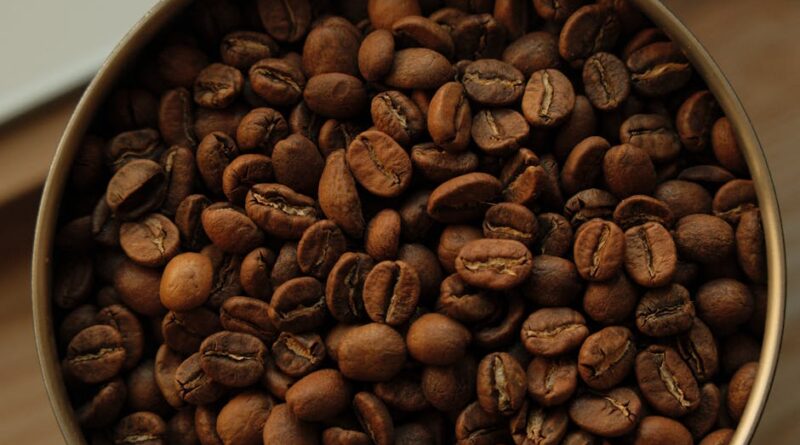 What is the weather in Valencia in January? Complete Guide